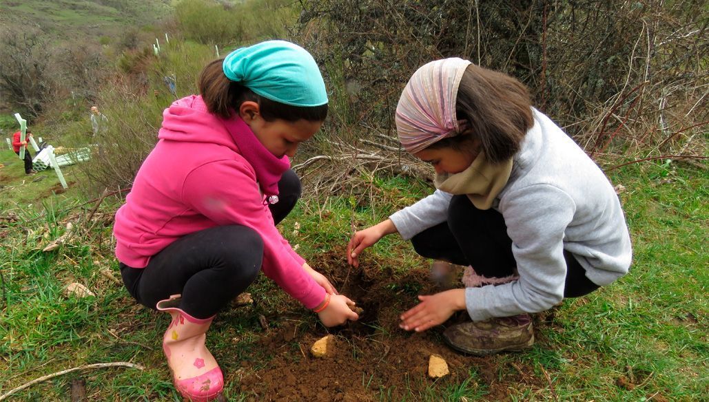 voluntariado