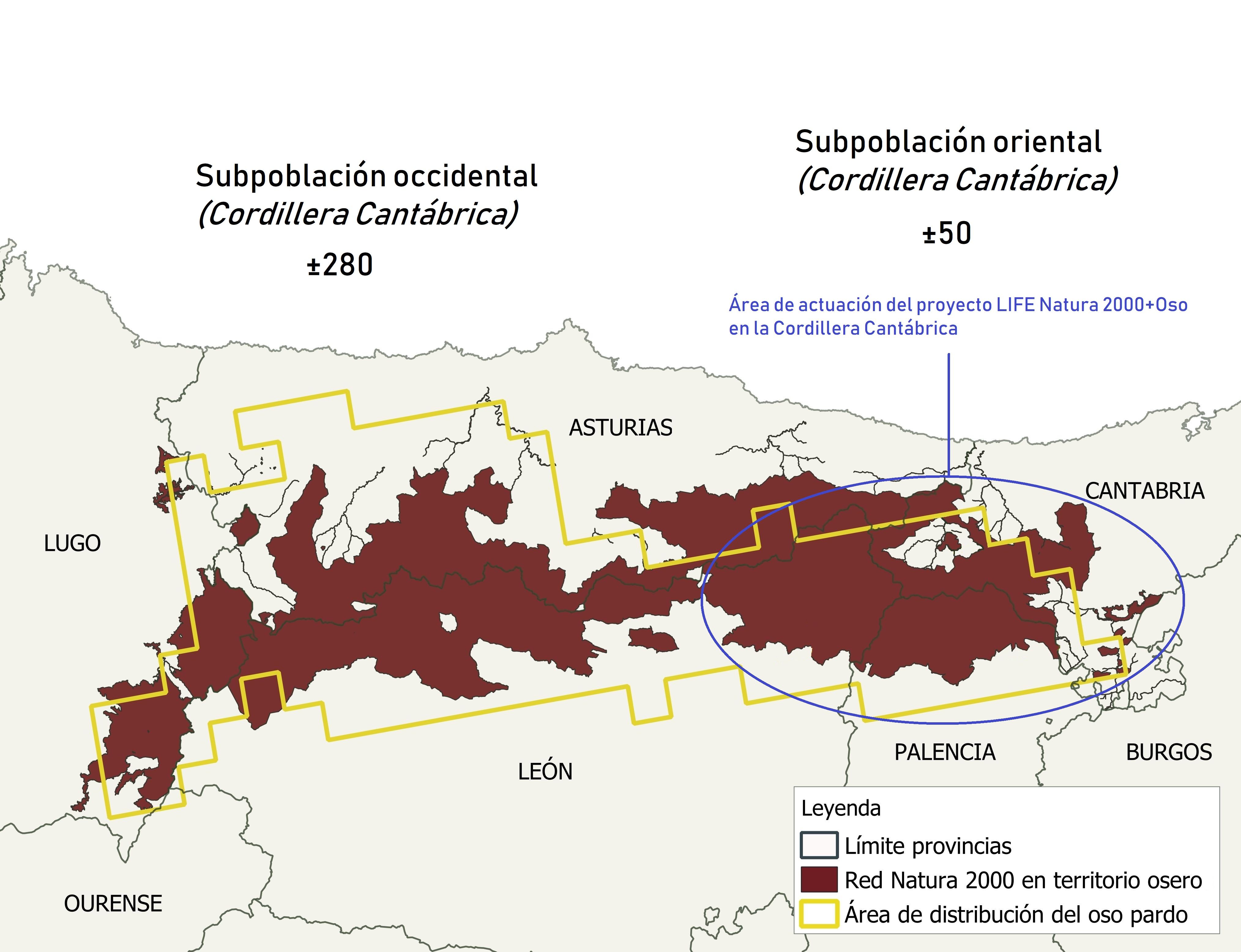 RN2000_Osos_Cantábrico_LIFE