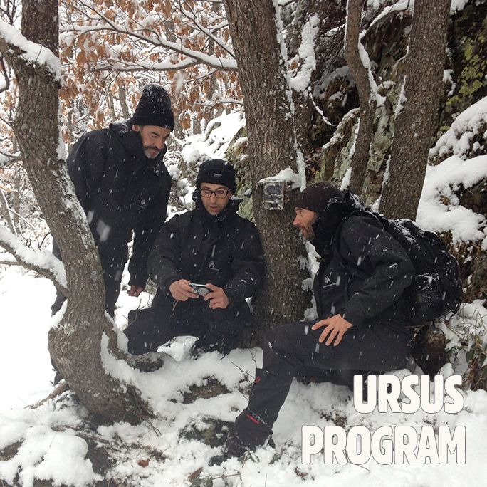 ProgramaUrsus_cuadrado