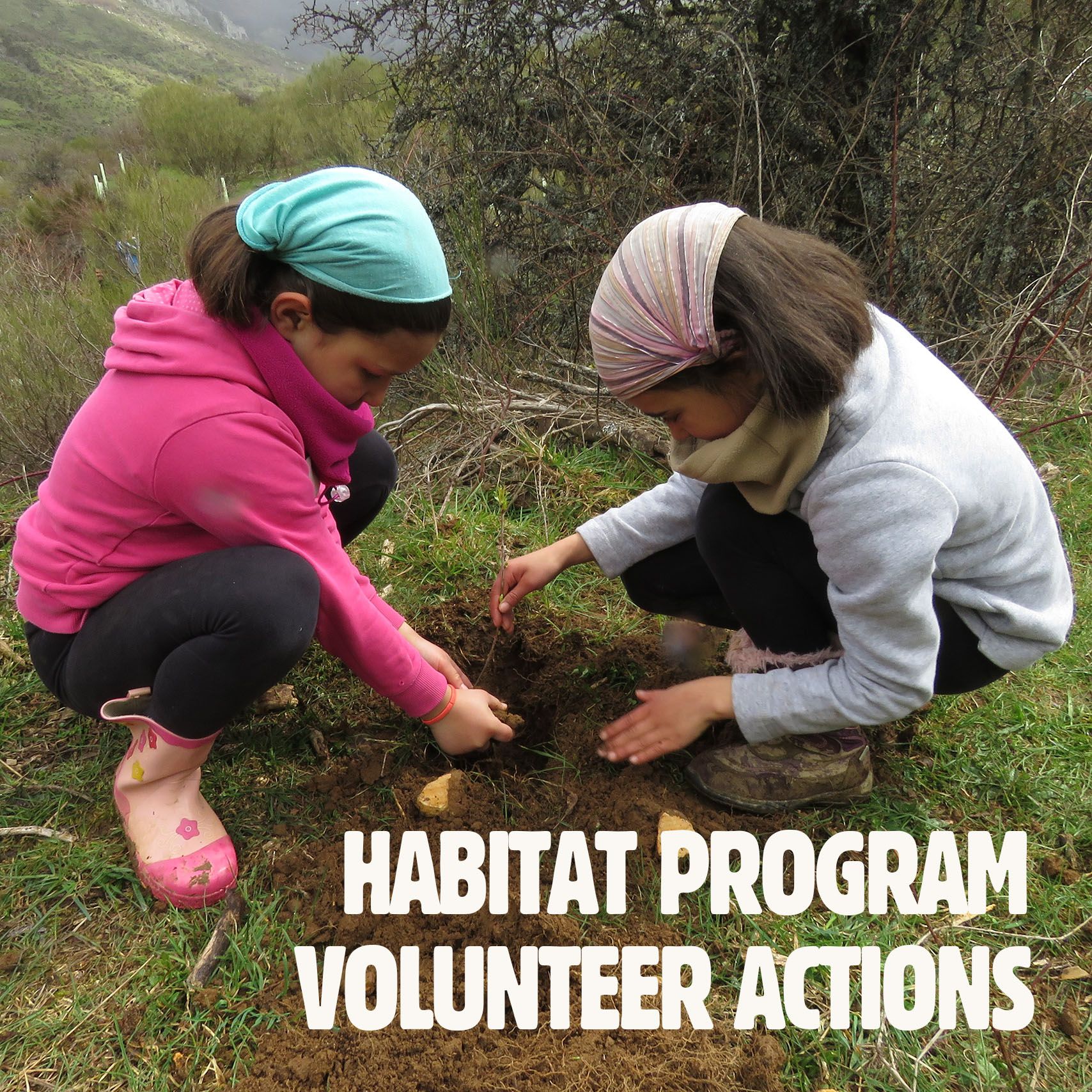 Voluntariado_cuadrada