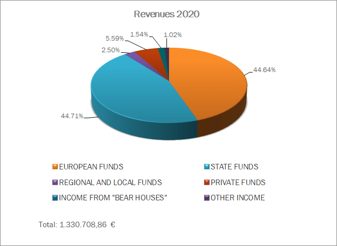 Revenues 2020