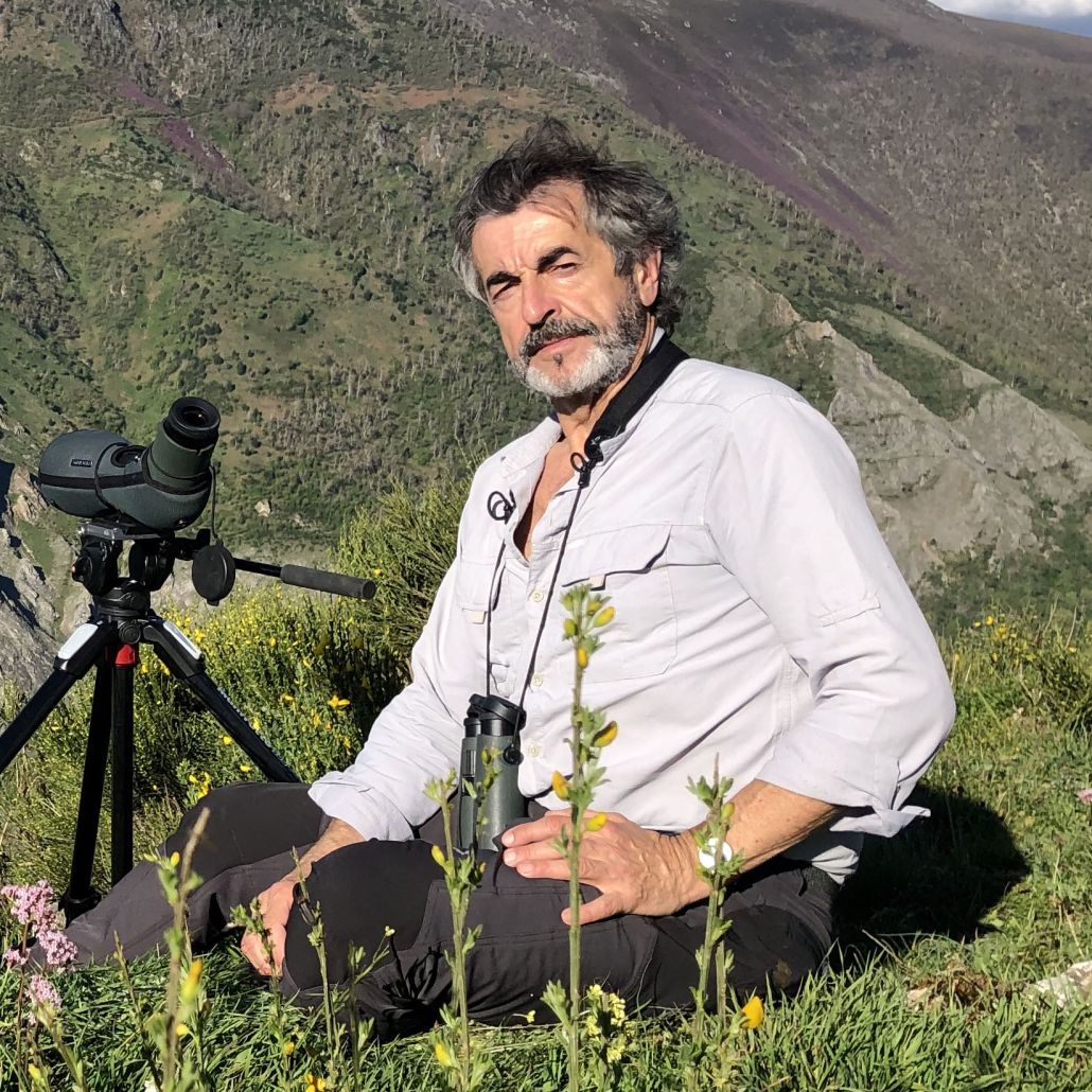 Guillermo Palomero Retrato de Guillermo Palomero - Director ejecutivo