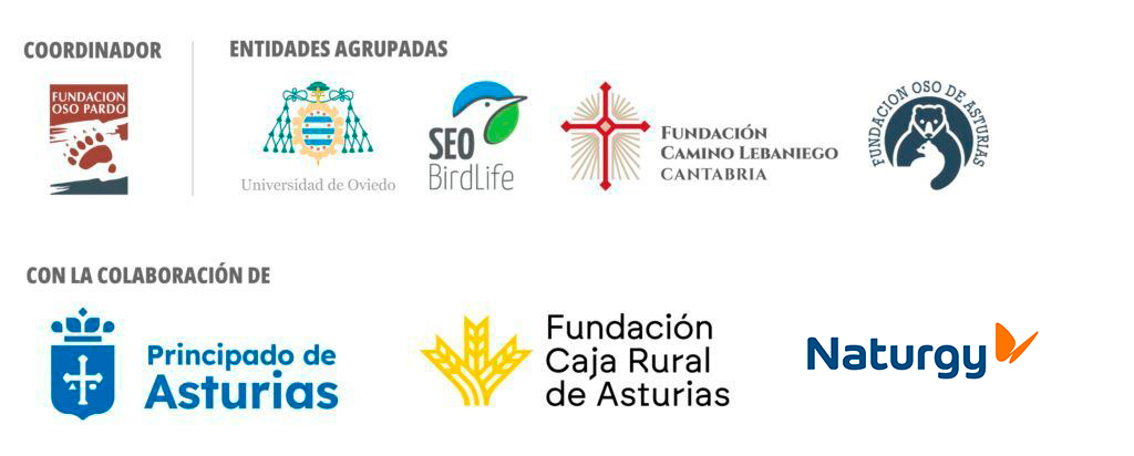 entidades participantes castañas osos y desarrollo rural